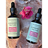 Organic Elderberry Tincture Glycerin Based (SOLD OUT)